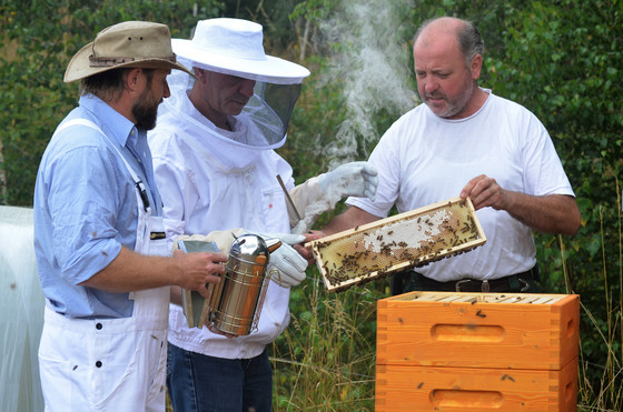 Auf dem Bild sieht man Bewohner an einem Bienenstock